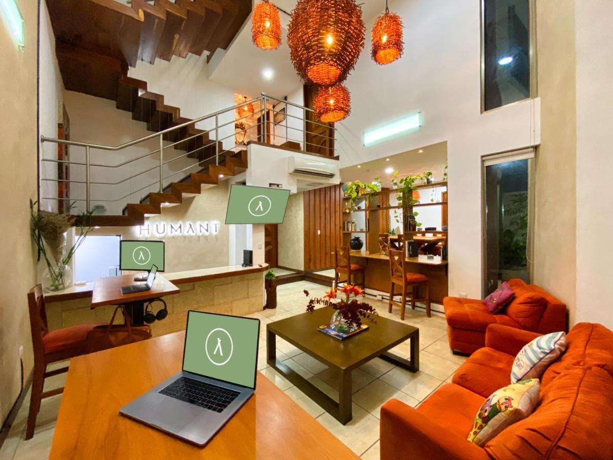 Humant Coliving - Cancun Dış mekan fotoğraf